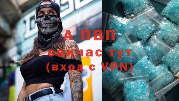 спиды Шадринск