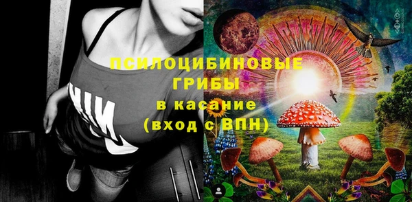 спиды Шадринск