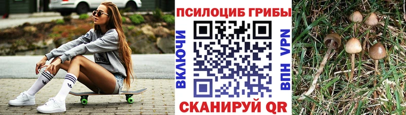 Псилоцибиновые грибы мухоморы Вязьма