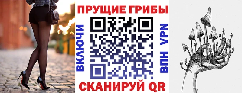 Купить закладки  Вязьма  Галлюциногенные грибы прущие грибы 